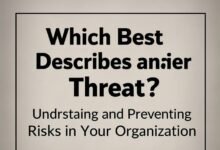 which best describes an insider threat