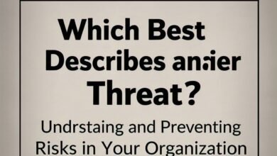 which best describes an insider threat