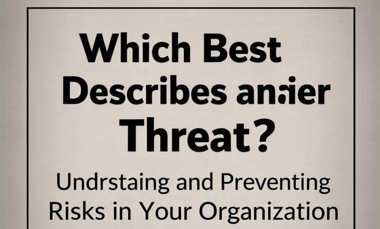 which best describes an insider threat